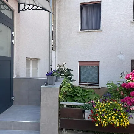 アパート Casa Amalia